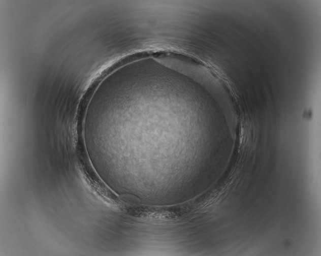 X0000115800488200911271254