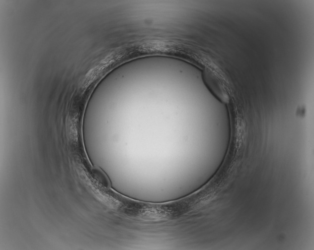 X0000115800489200911271254