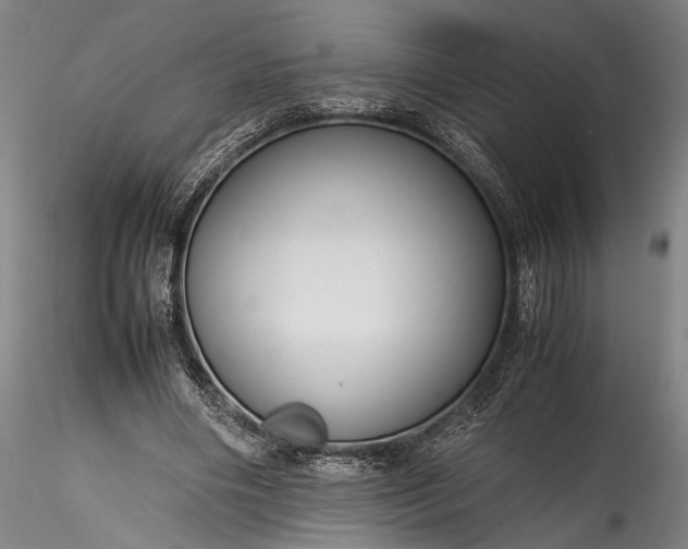 X0000115800490200911271254