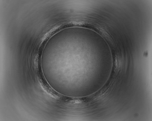 X0000115800492200911271254