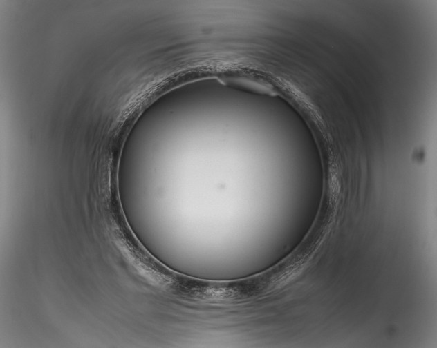 X0000115800493200911271254