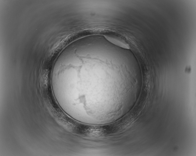 X0000115800495200911271254