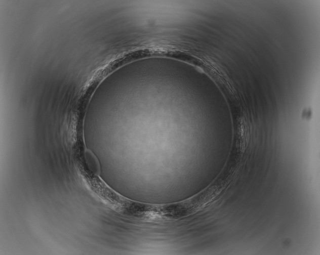 X0000115800496200911271254