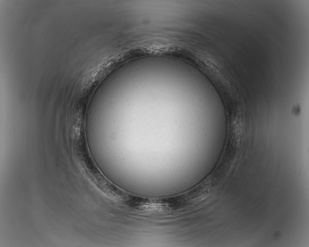 X0000115800499200911271254