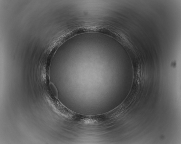 X0000115800500200911271254