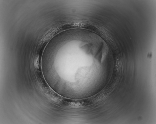 X0000115800502200911271254