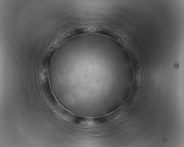 X0000115800503200911271254