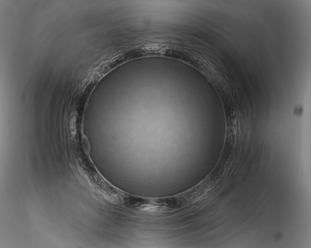 X0000115800504200911271254