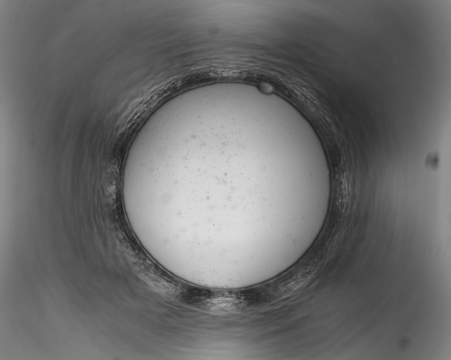 X0000115800505200911271254