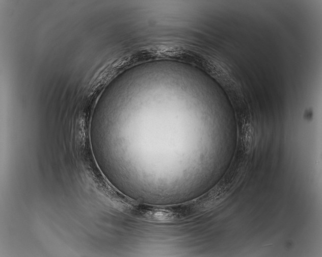 X0000115800506200911271254