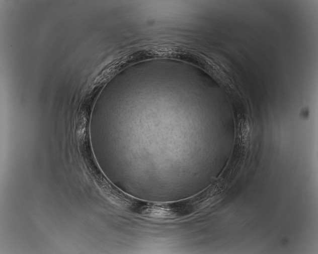 X0000115800507200911271254