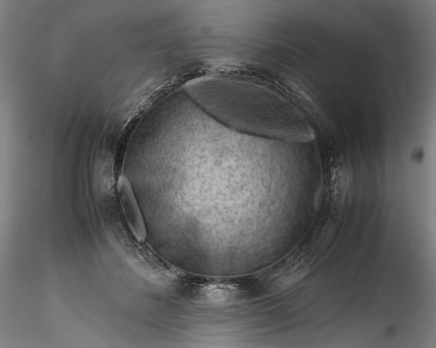 X0000115800508200911271254