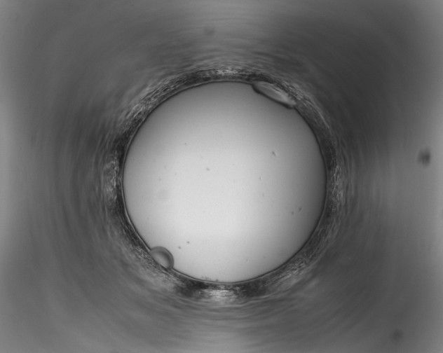 X0000115800509200911271254