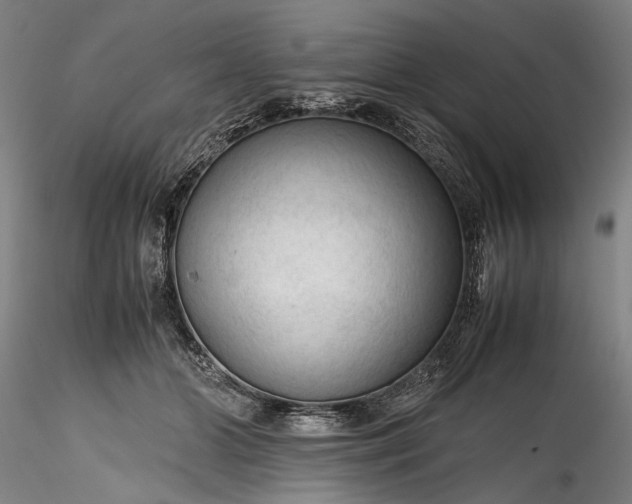 X0000115800510200911271254