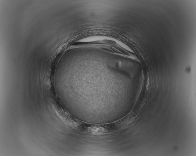 X0000115800512200911271254