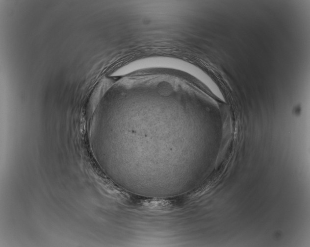 X0000115800517200911271254