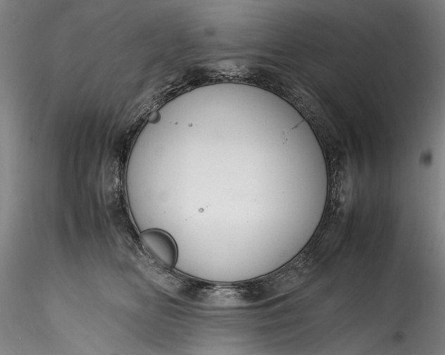 X0000115800518200911271254