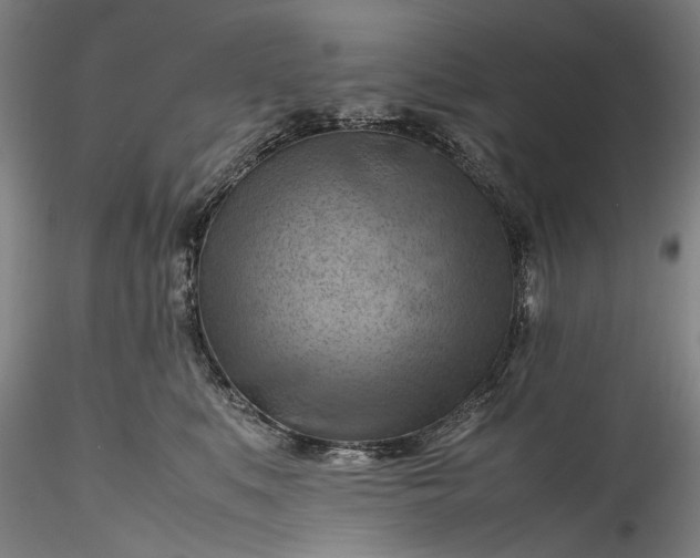 X0000115800519200911271253