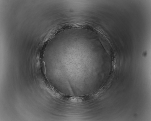 X0000115800520200911271253