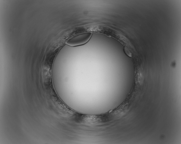 X0000115800521200911271253