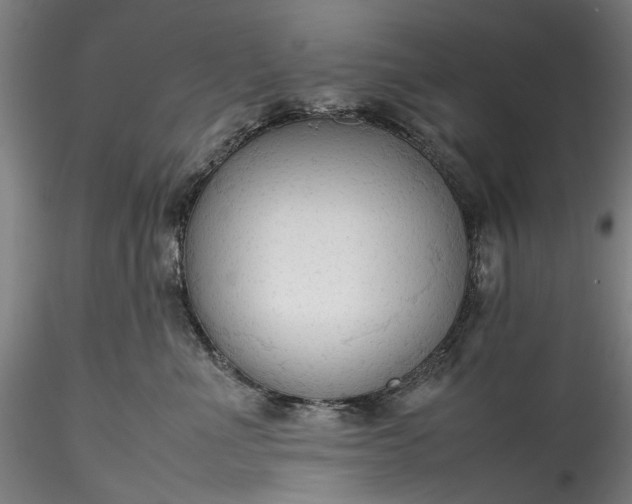 X0000115800523200911271253