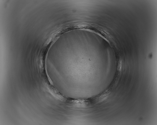 X0000115800524200911271253