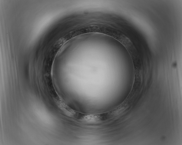 X0000115800526200911271253