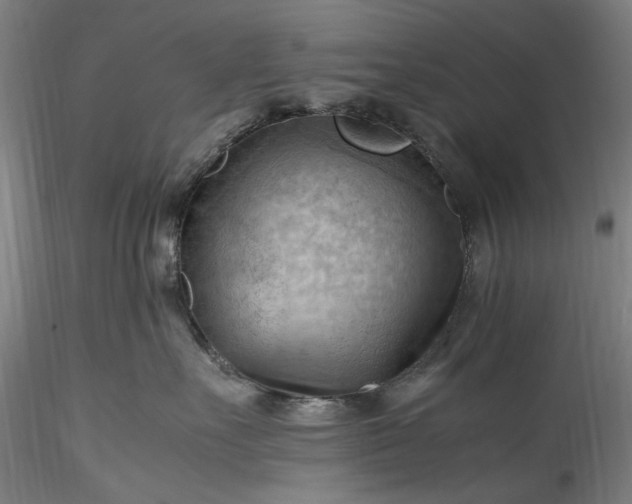 X0000115800527200911271253