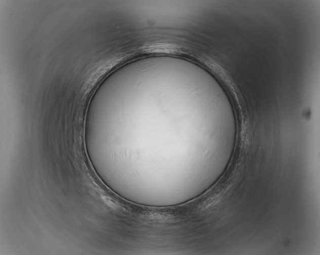 X0000115800529200911271253