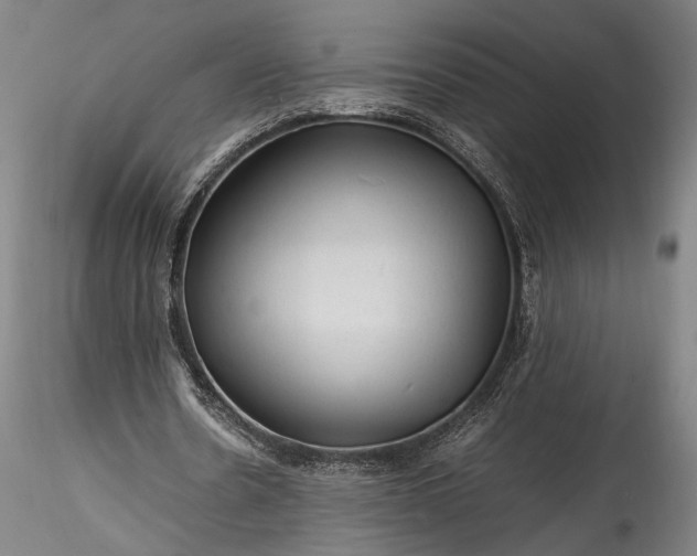 X0000115800530200911271253