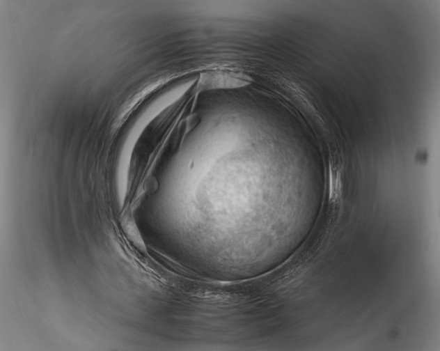 X0000115800531200911271253