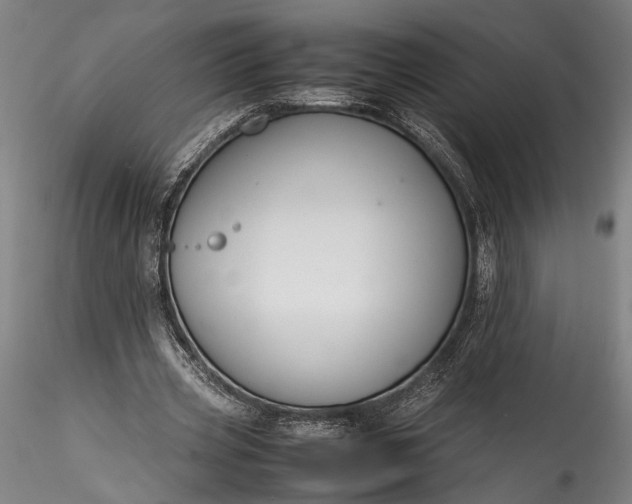 X0000115800533200911271253