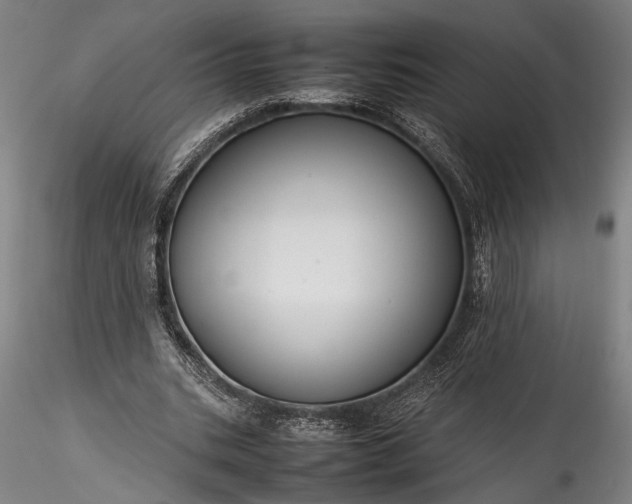 X0000115800535200911271253