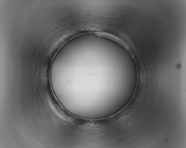 X0000115800538200911271253