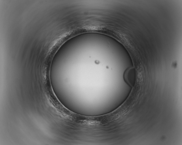 X0000115800539200911271253