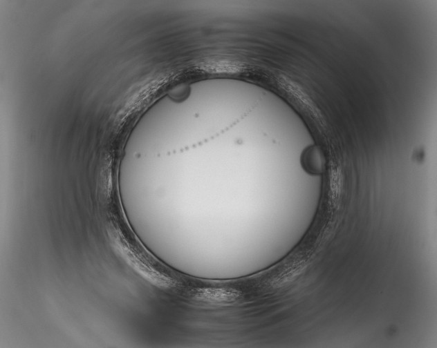 X0000115800541200911271253