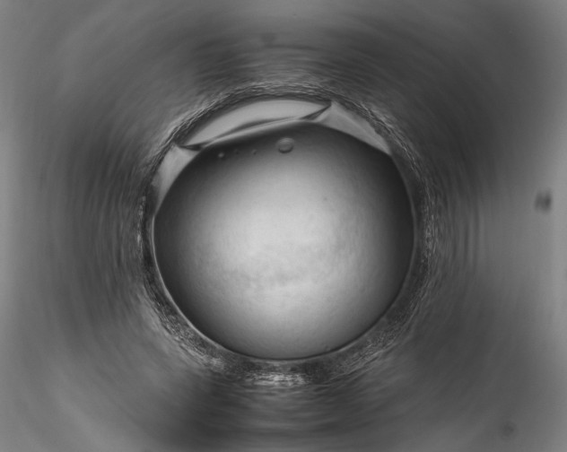 X0000115800543200911271253