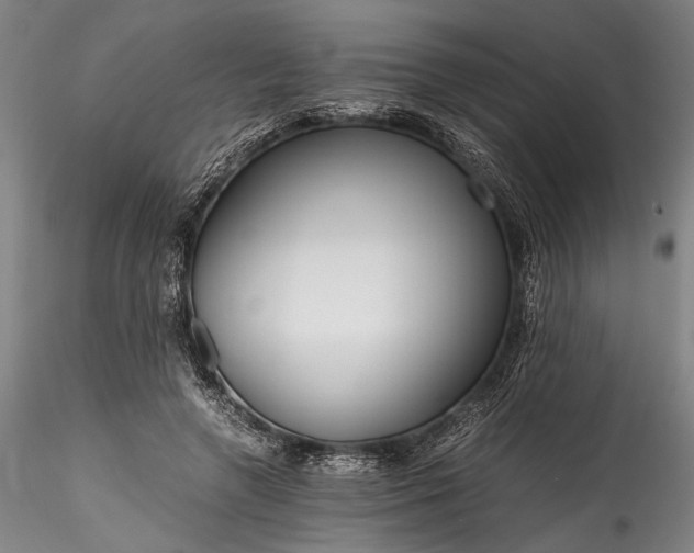 X0000115800546200911271253