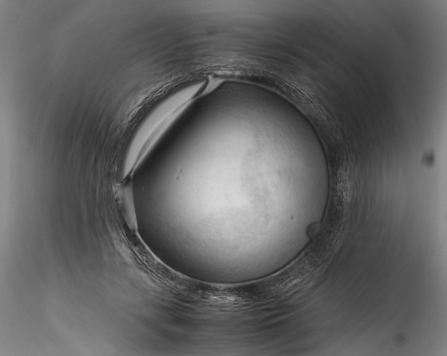 X0000115800547200911271253