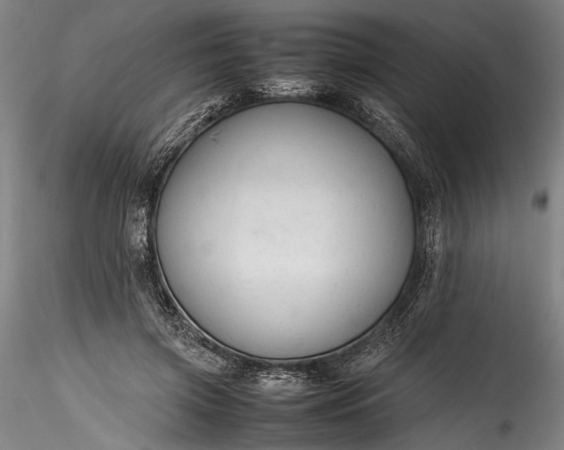 X0000115800549200911271253