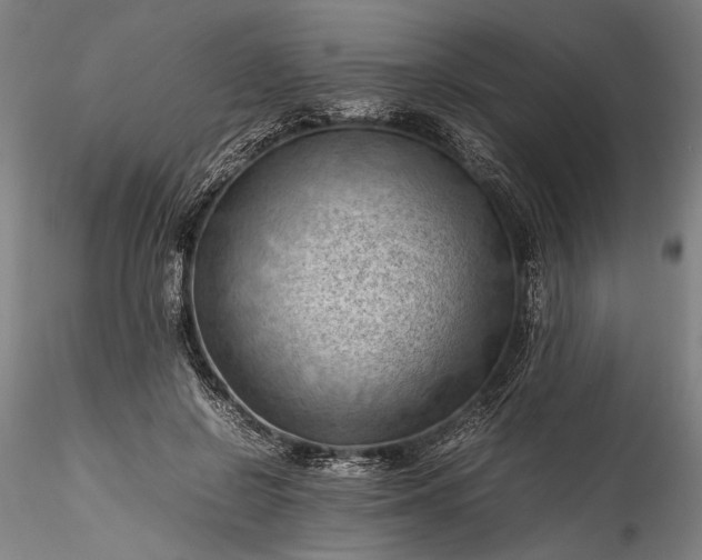 X0000115800550200911271253