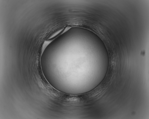 X0000115800551200911271253