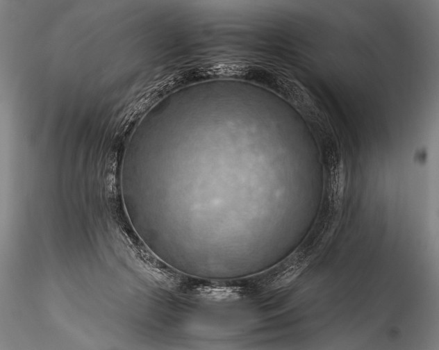 X0000115800553200911271253