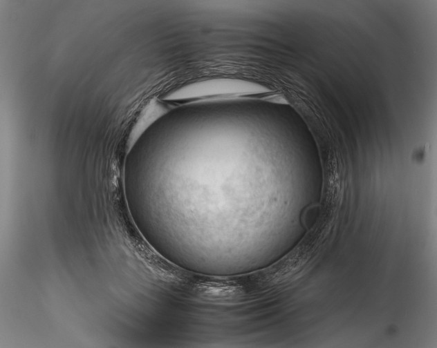 X0000115800555200911271253