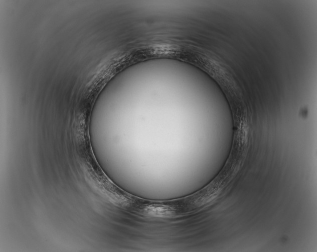 X0000115800557200911271253