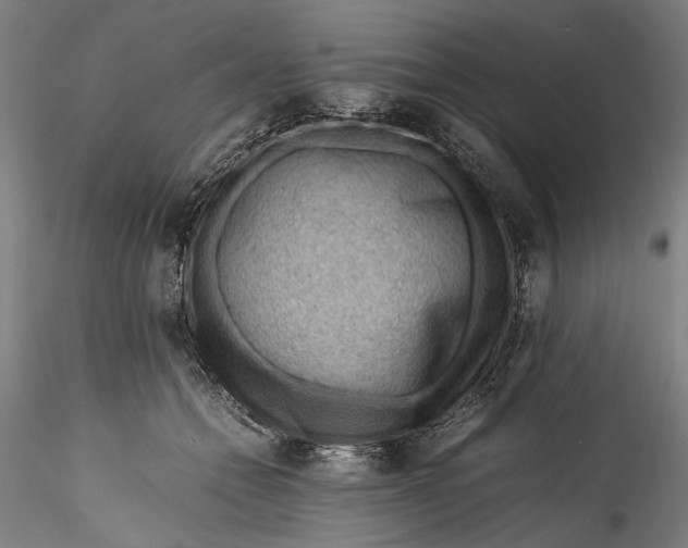 X0000115800558200911271253