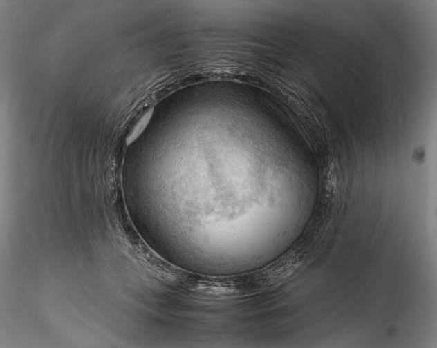 X0000115800559200911271253