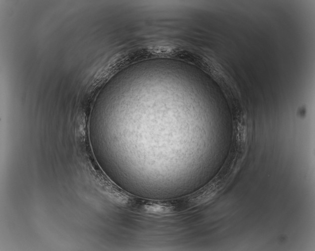 X0000115800561200911271253