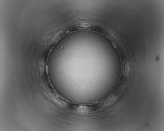 X0000115800562200911271253