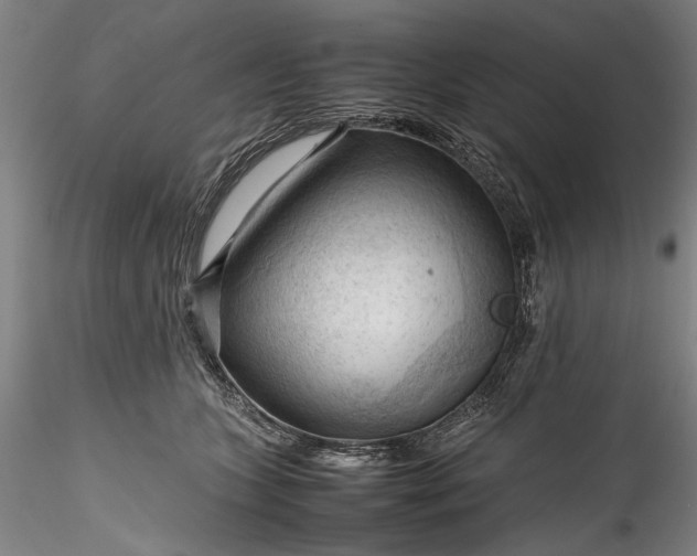 X0000115800563200911271253